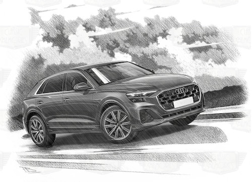 Audi Q8 S-Line '24